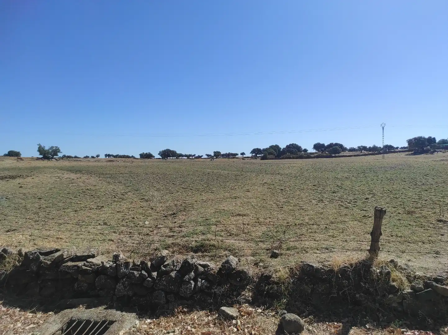 Terreny en venda a Avenida Virgen del Encinar, 1, Ceclavín