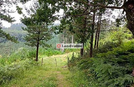 Terreno residencial en Venta en Polígono 4. Parcela 55 en Bedia