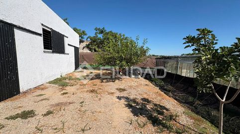 Foto 4 de Terreny en venda a Las Palmeras - Dehesilla, Sanlúcar de Barrameda