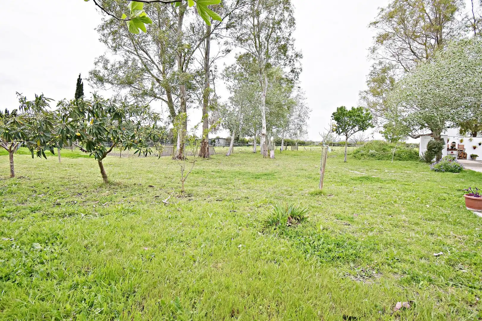 Country homes for sale in Santiago - Coronación