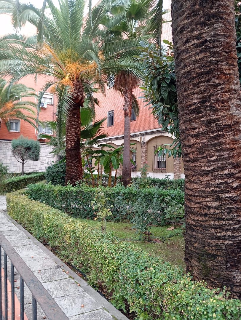 Garden of Flat for sale in Badajoz Capital  with Terrace and Storage room