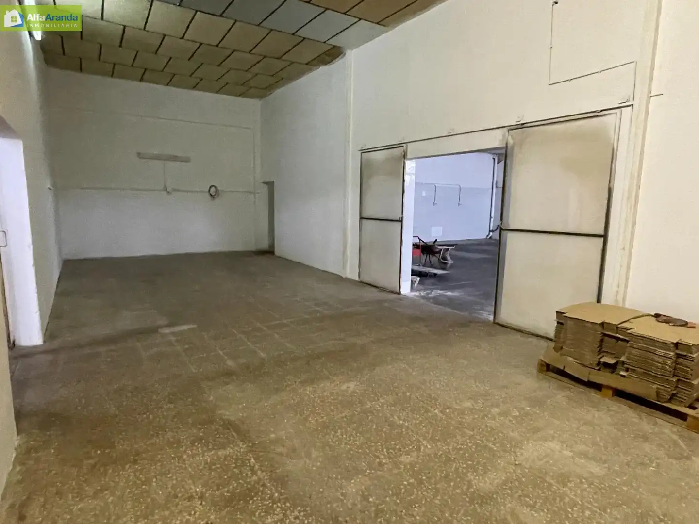Industrial buildings for sale in Allendeduero