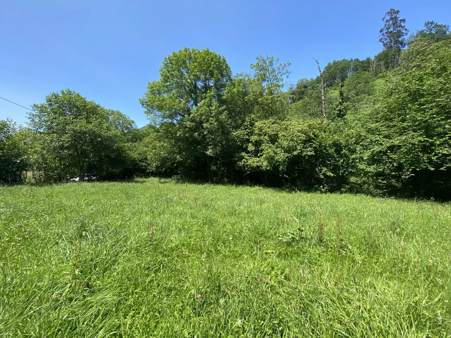 Residencial en venta en Cangas de Onís