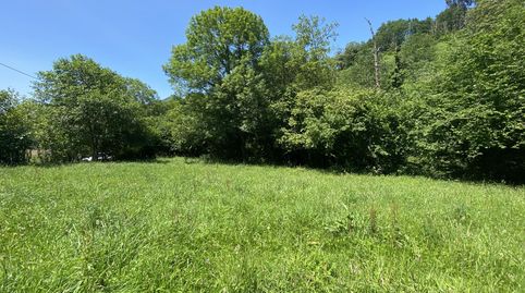 VENTA DE FINCA EN LLENIN, immagine 4