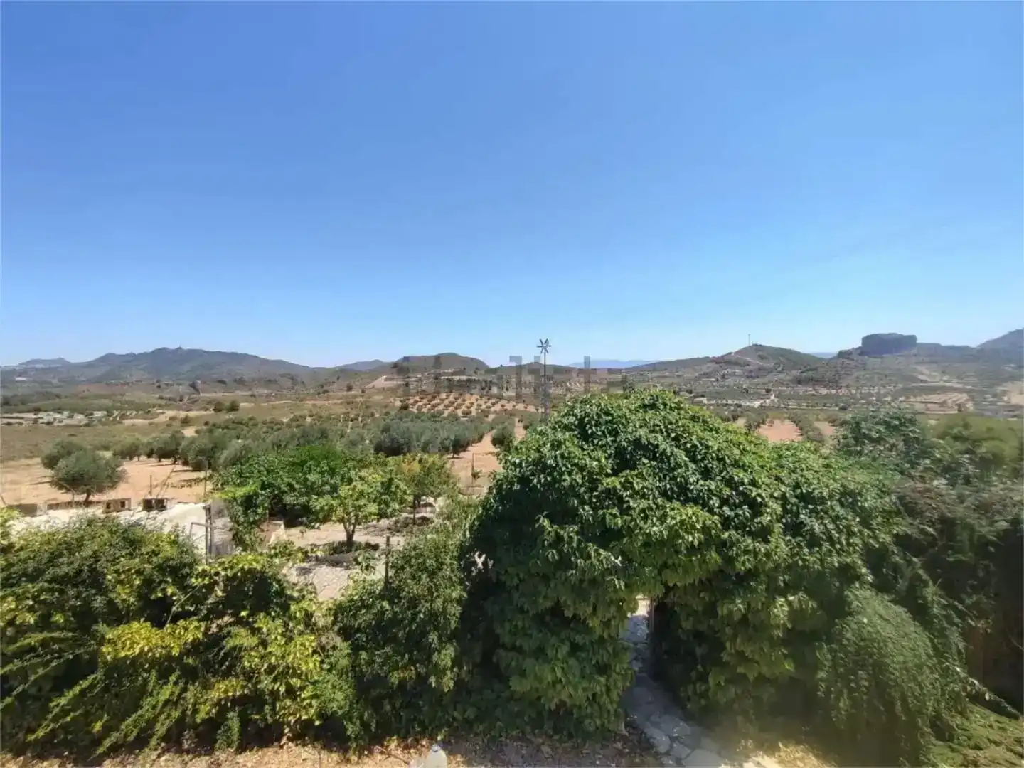 Finca rústica en venda en Elche de la Sierra amb Jardí privat, Traster i Piscina