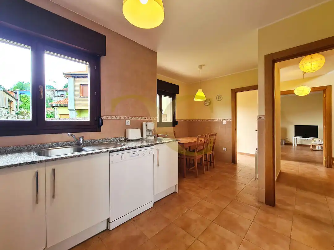 Villa con giardino in vendita a Bones, imagen 17