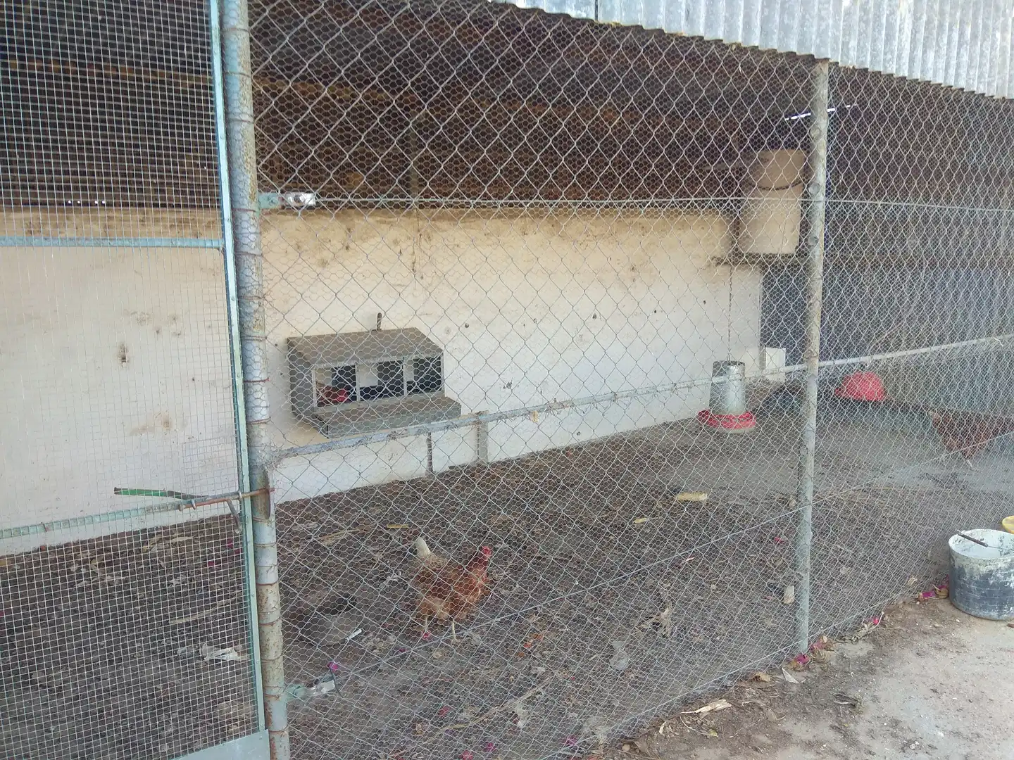 Rustikales Grundstück zum Verkauf in Los Franceses – La Vega, imagen 25