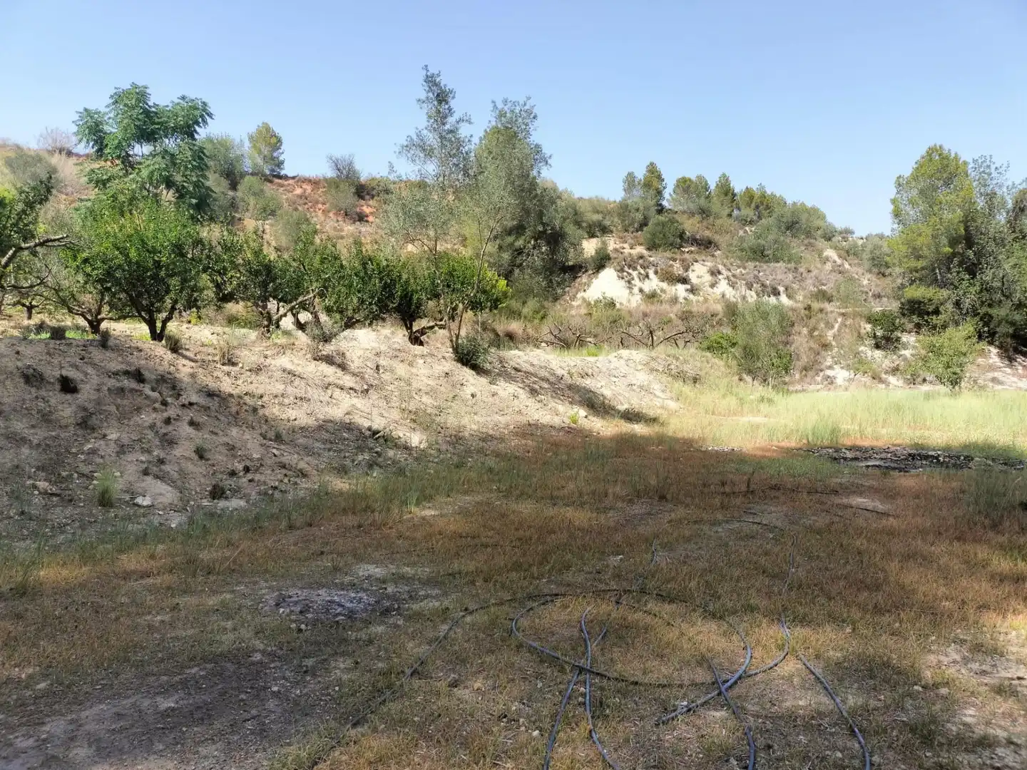 Local en venta en L'Alcúdia de Crespins