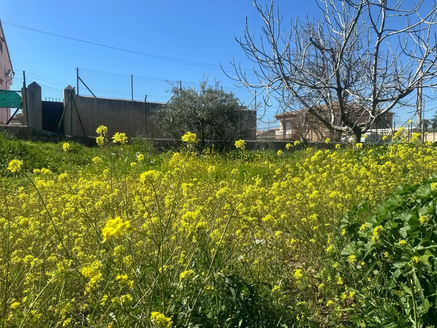Lands and plots for sale in Calle VISTA NEVADA, imagen 10