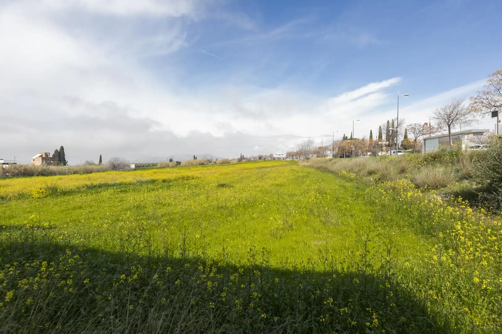Land for sale in Granada