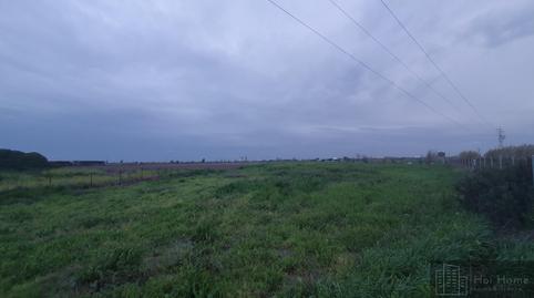 Photo 2 of Country house for sale in Caballero Bonald - San José Obrero - Guadalcacín, Cádiz