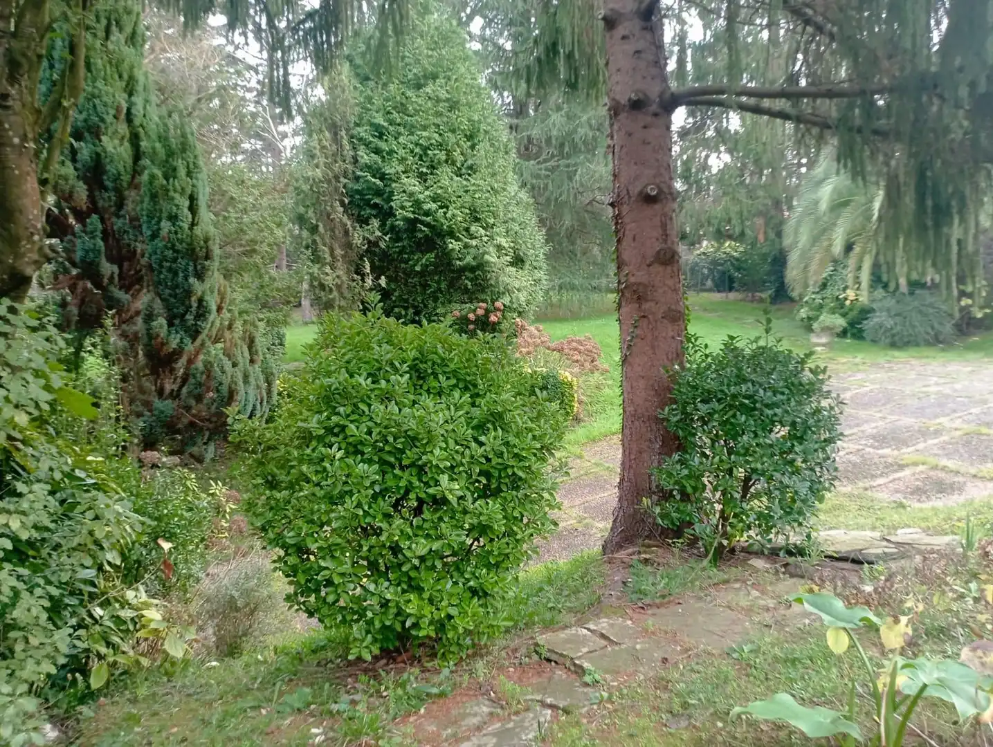 Garten von Country house zum Verkauf in Gijón  mit Klimaanlage, Privatgarten und Terrasse