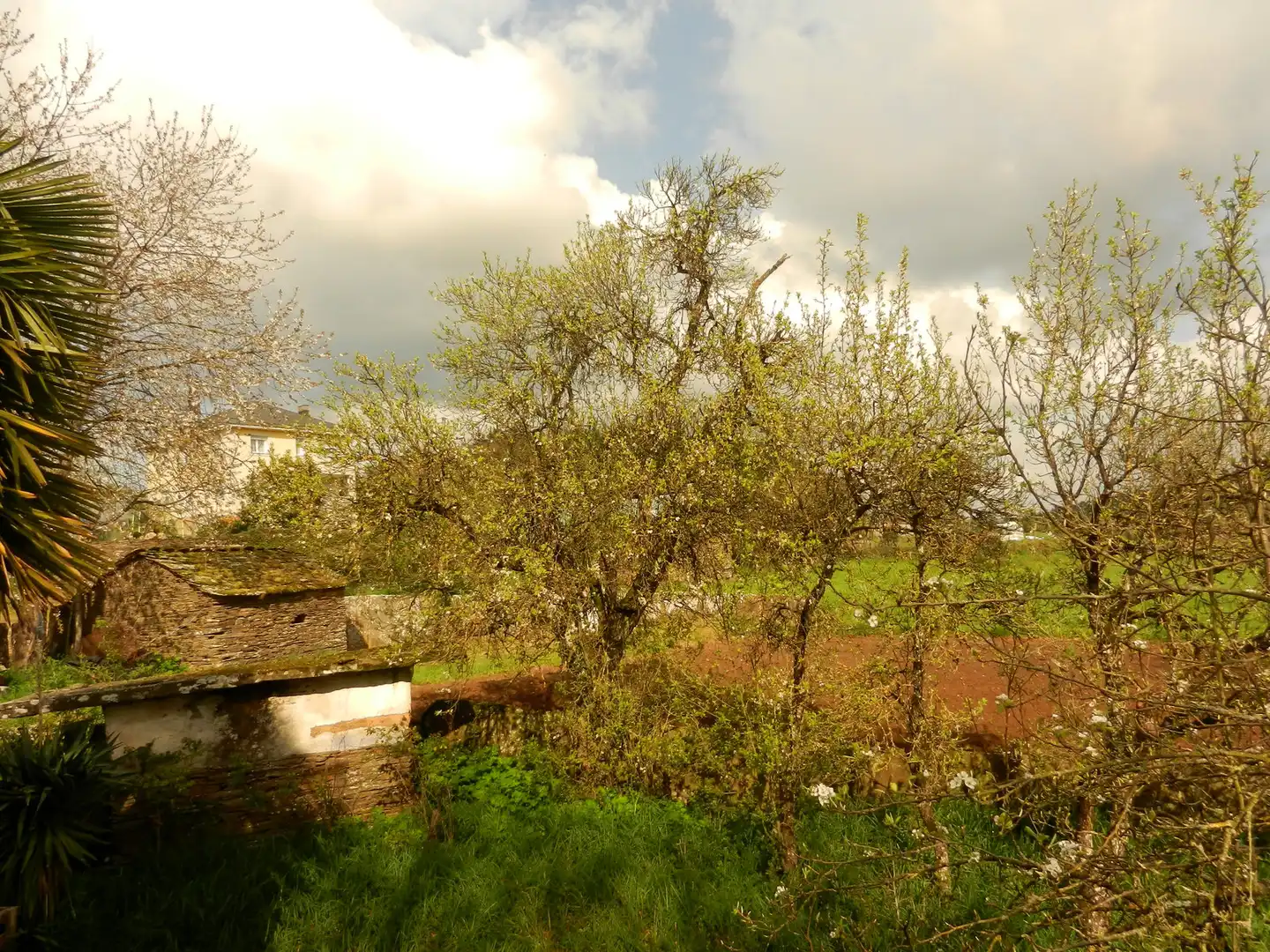 Maison à vendre à Lugar Coeses, imagen 22