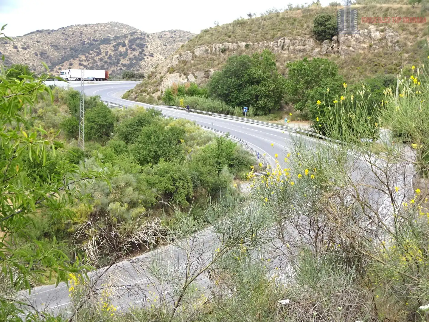 Vista exterior de Finca rústica en venda en Pinos Genil