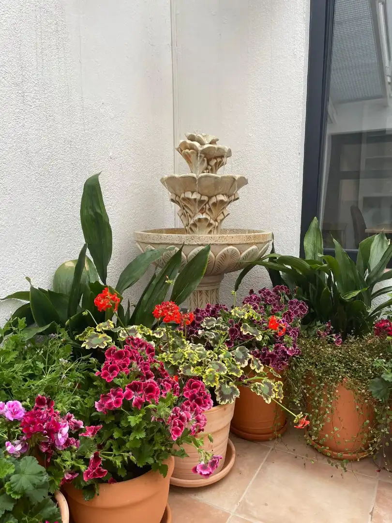 Jardí de Casa adosada en venda en Calella amb Calefacció, Terrassa i Moblat