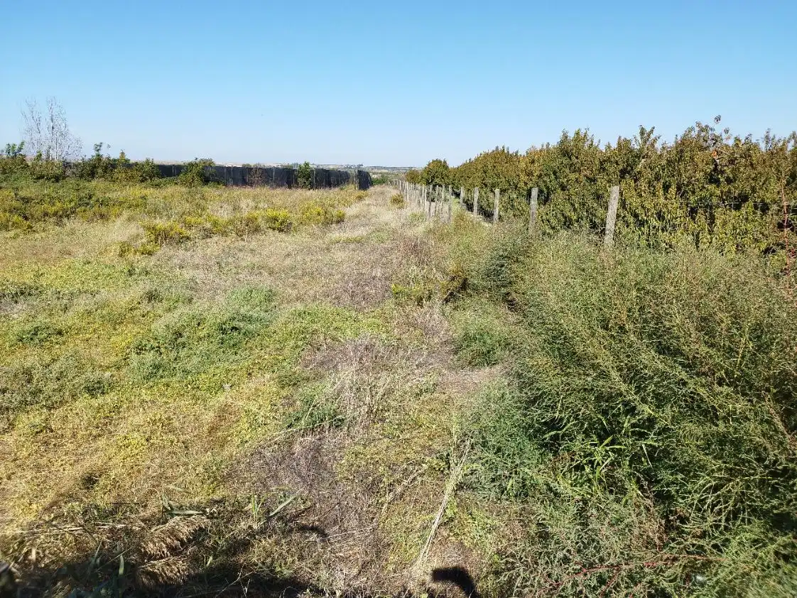Finca rústica en venta en Puigverd de Lleida