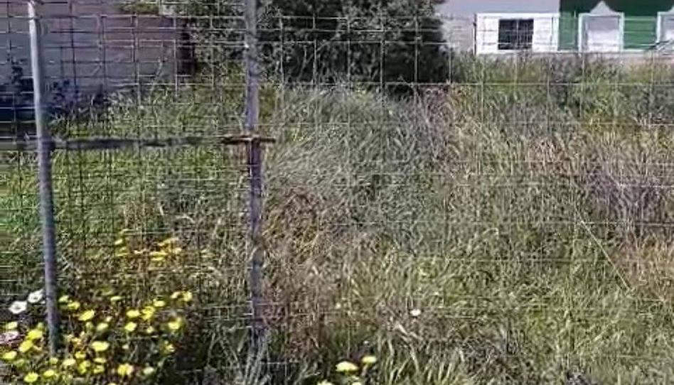 Photo 1 of Residential for sale in N/a, -1, San Pedro del Pinatar ciudad, Murcia