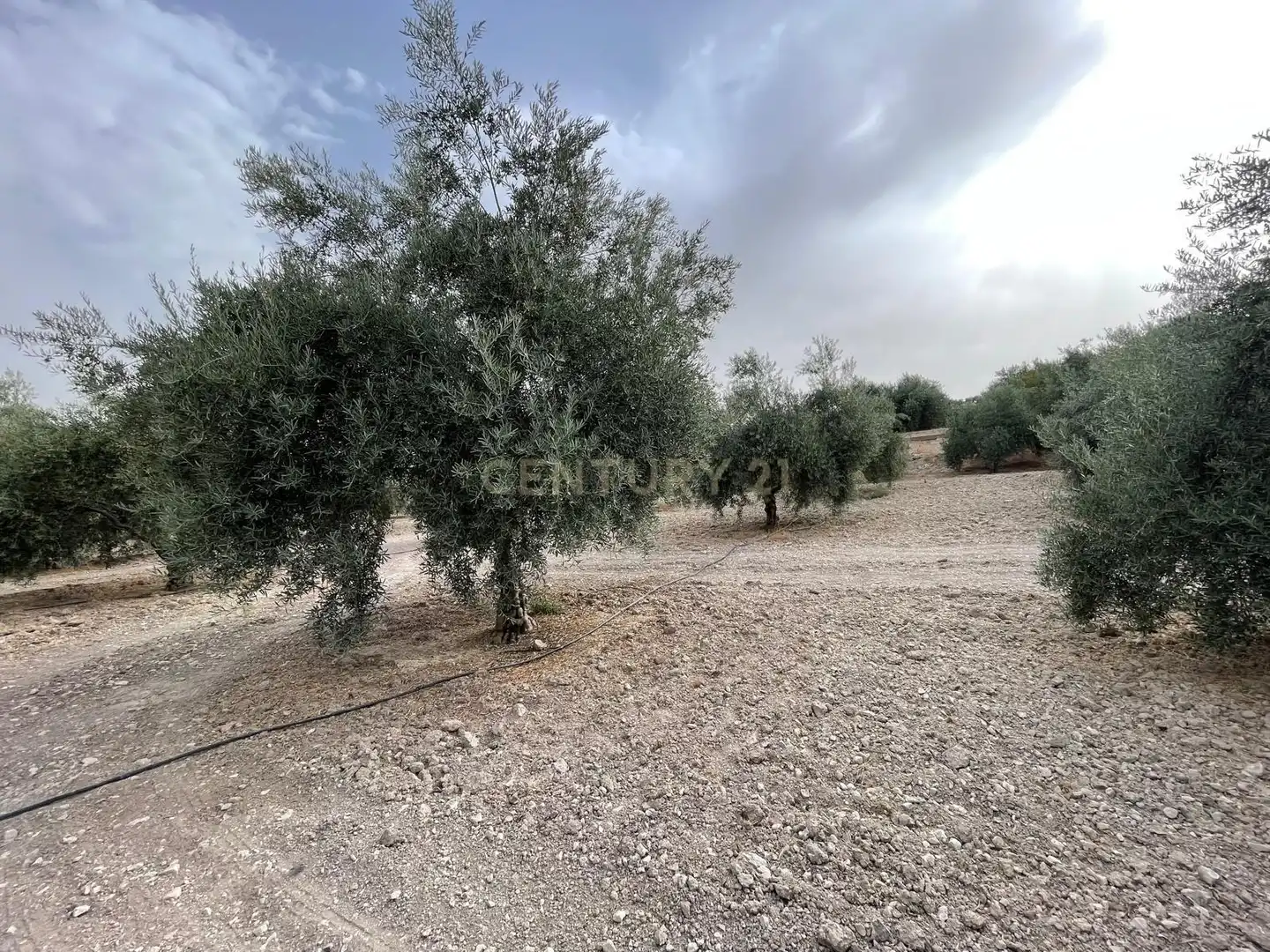 Rustikales Grundstück zum Verkauf in 18260 Íllora, Spain, imagen 2
