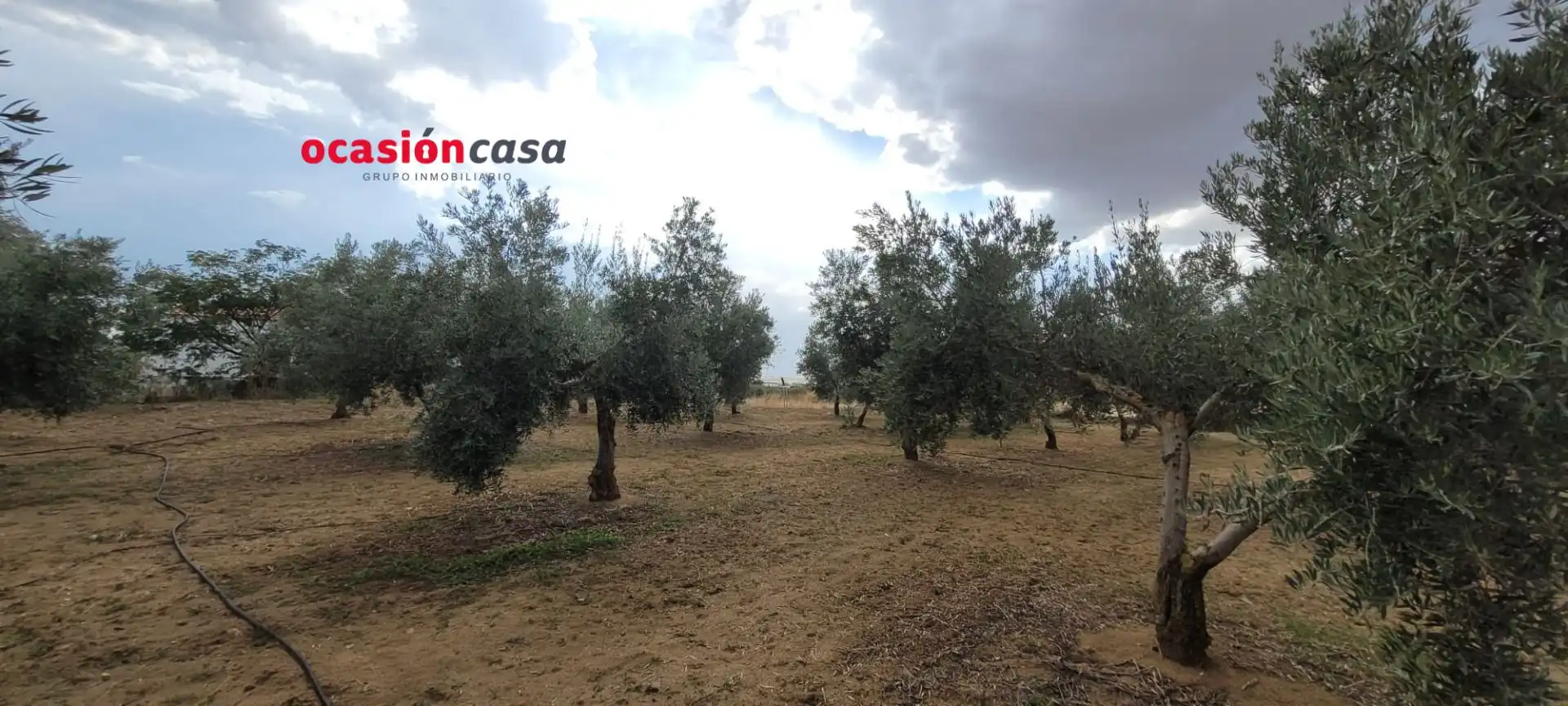 Casa rústica en venta en Alcaracejos, imagen 7