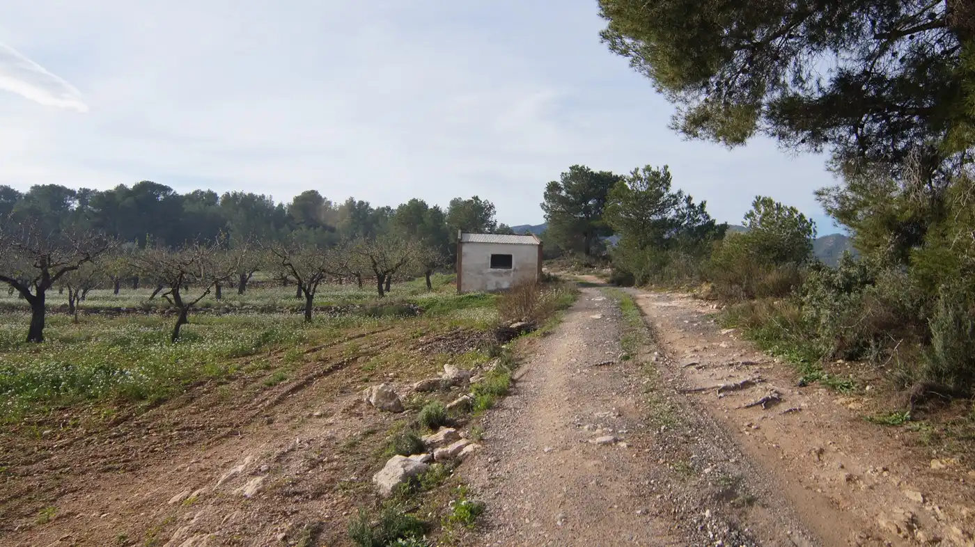 Terrain rustique à vendre à Rasquera, imagen 4