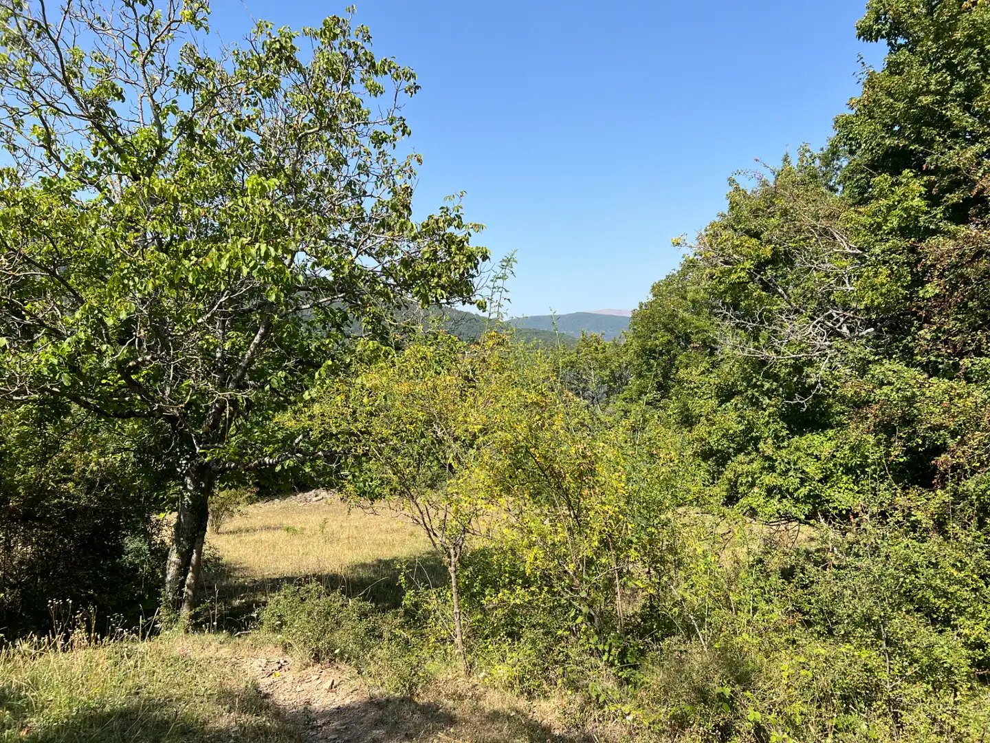 Land for sale in Broto