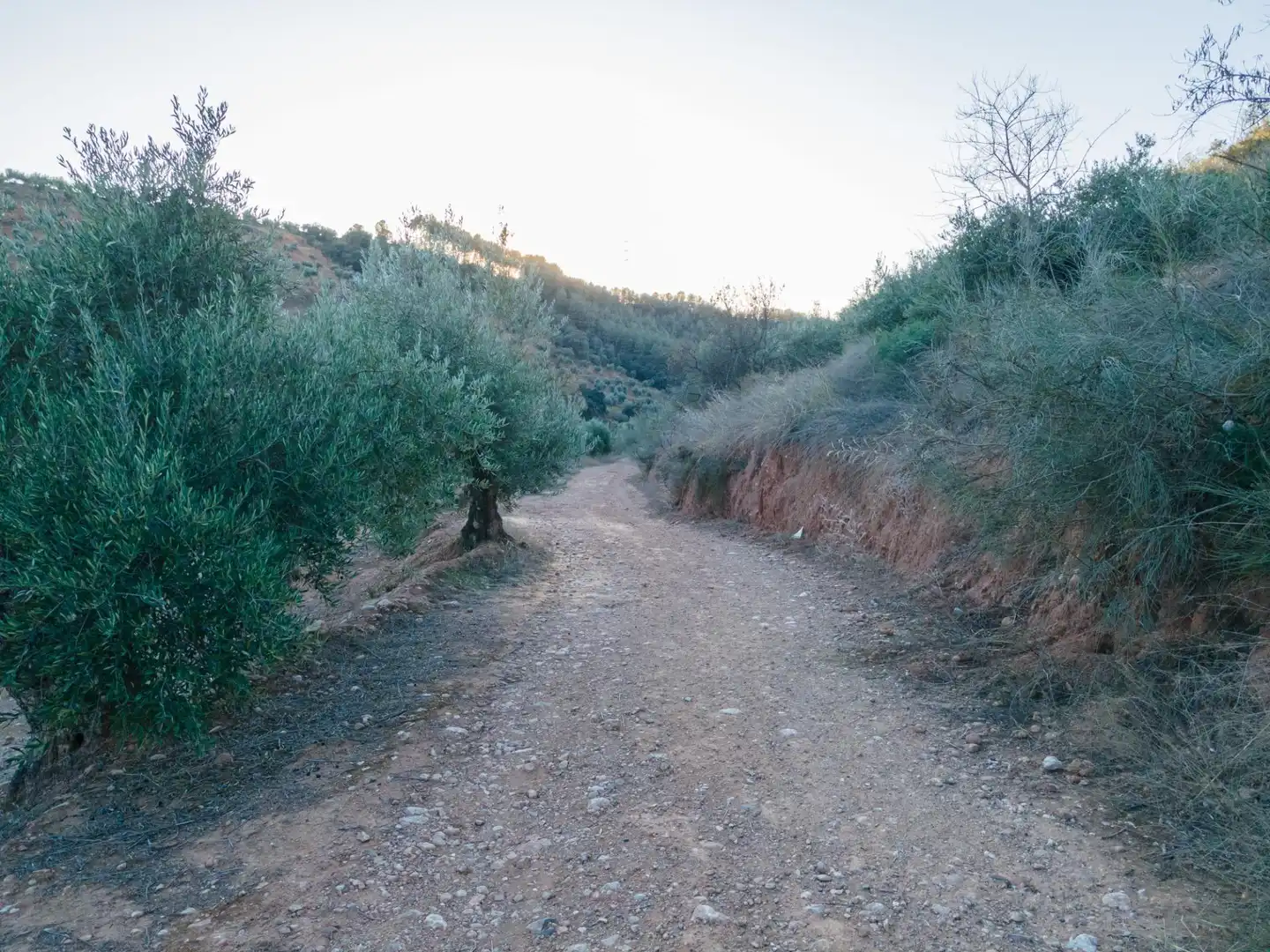 Terreno rustico in vendita a Calicasas, imagen 4