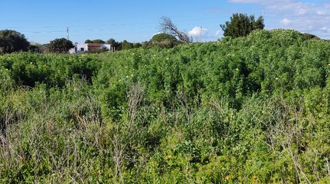 Foto 2 de Terreno en venta en Calle, Barrio Nuevo, Conil de la Frontera