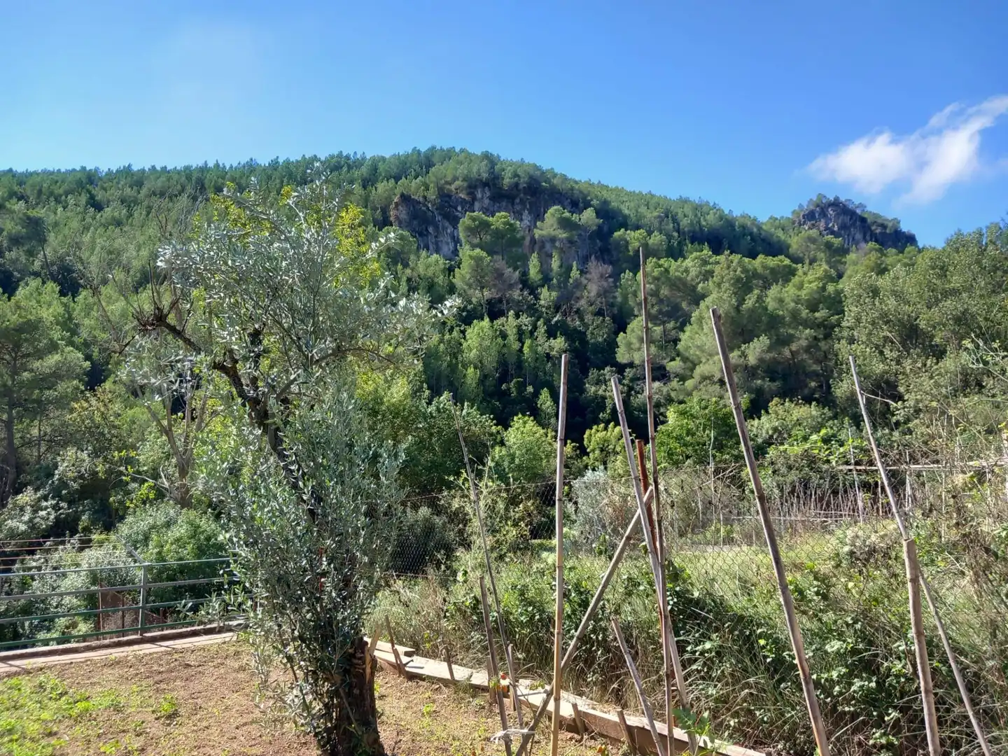 House with pool for sale in Torrelles de Foix, imagen 36