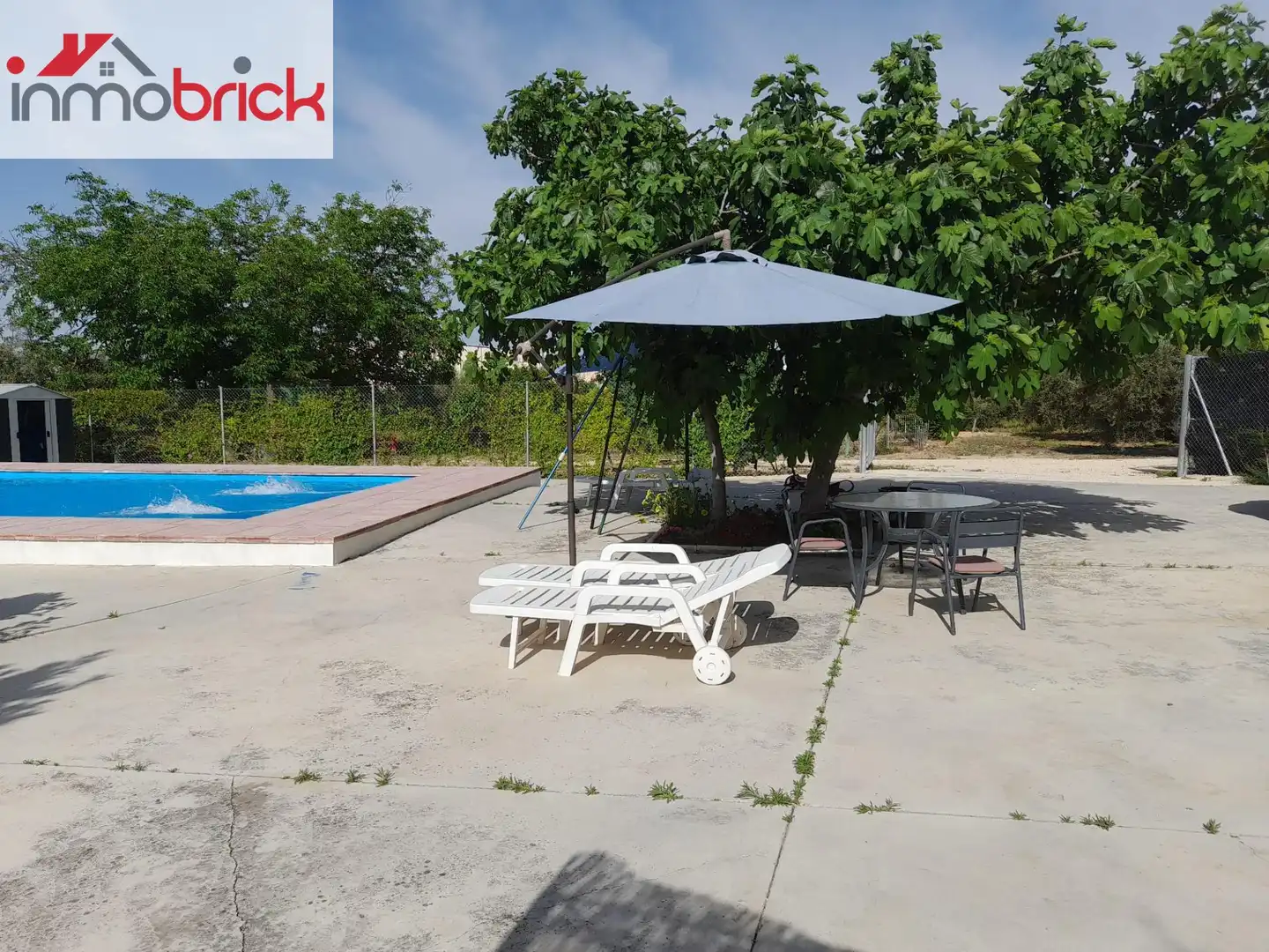 Swimming pool of Houses for rent in Lucena