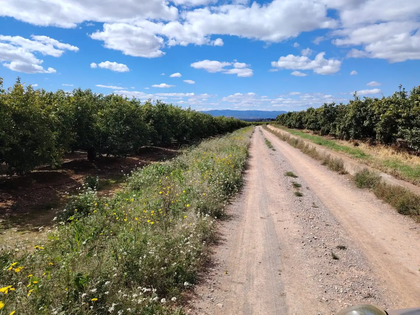 Residential land for sale in Parque de la Bombilla, imagen 2