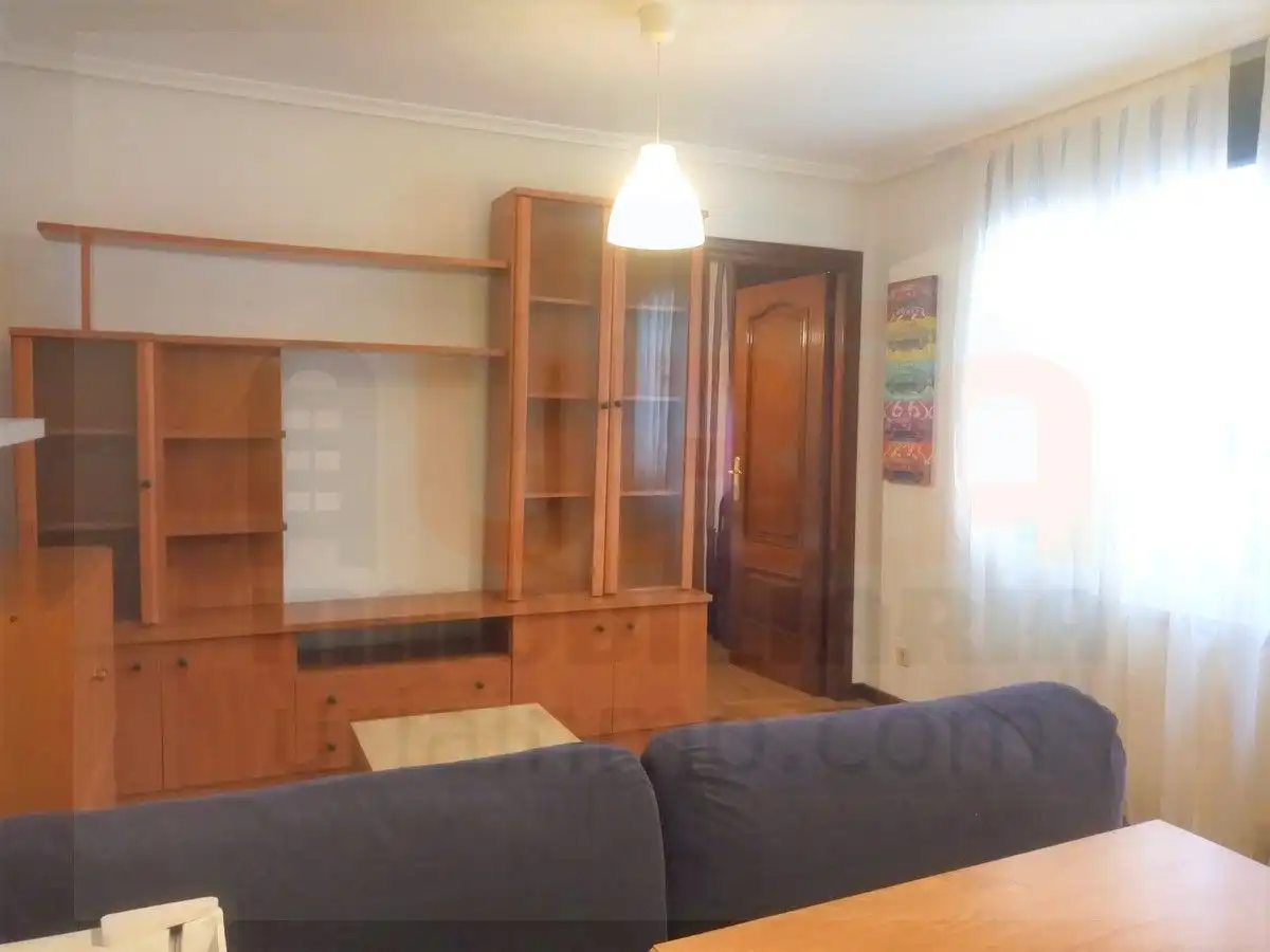 Sala d'estar de Apartament de lloguer en Oviedo  amb Calefacció, Parquet i Moblat