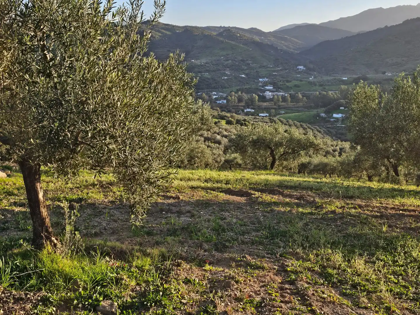 Terreni e lotti in vendita a Alozaina, imagen 9