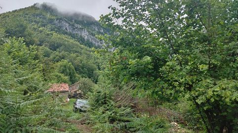 Foto 5 de Finca rústica en venta en Caso, Asturias