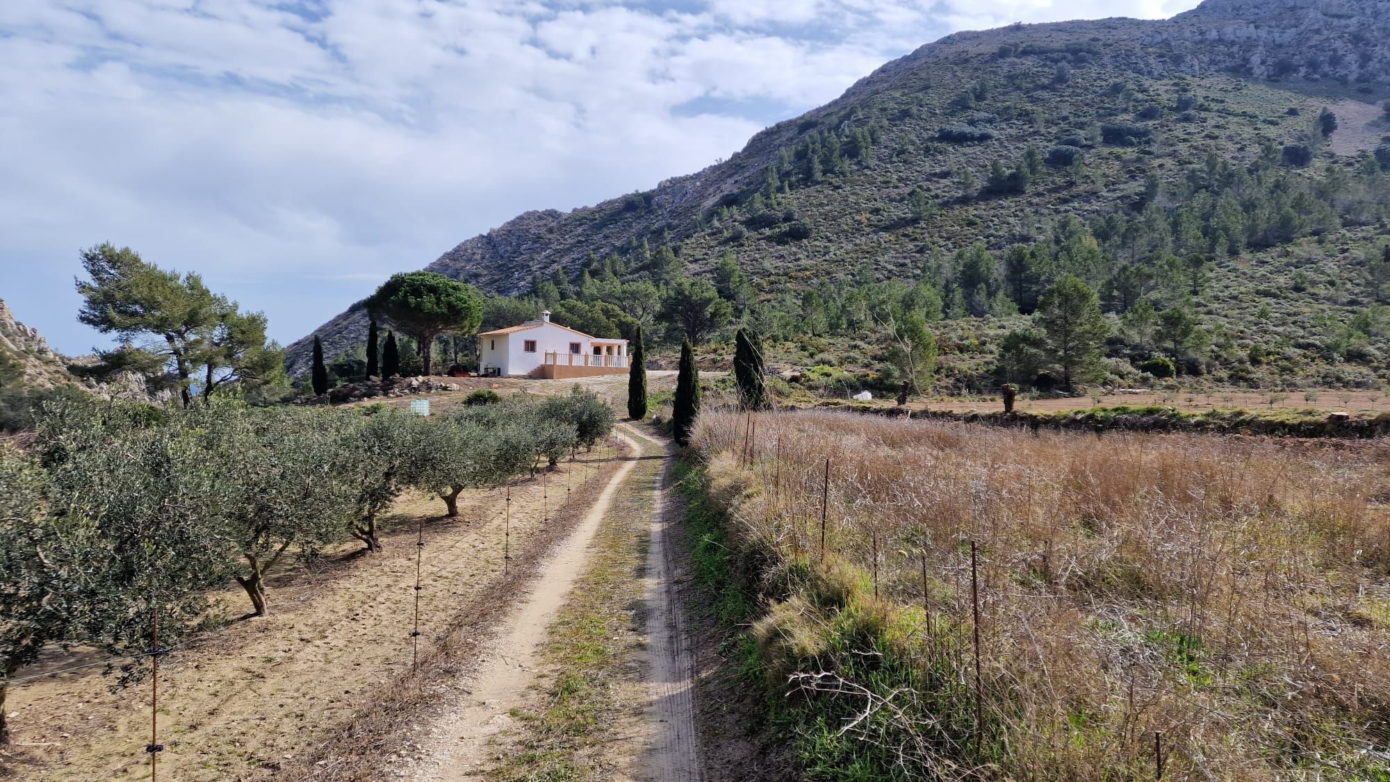 Vista exterior de Casa o xalet en venda en Tàrbena amb Terrassa, Moblat i Forn