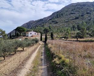 Exterior view of House or chalet for sale in Tàrbena  with Terrace, Furnished and Oven