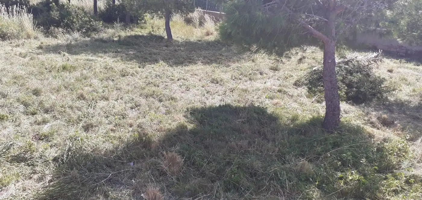 Residential land for sale in Avinguda del Príncep d'Espanya 81