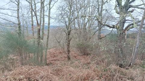Foto 4 de Finca rústica en venda a Avenida Madrid, Becerreá, Lugo