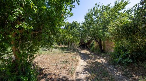 Foto 5 de Finca rústica en venta en Calle de Los Parrales, Lanjarón, Granada