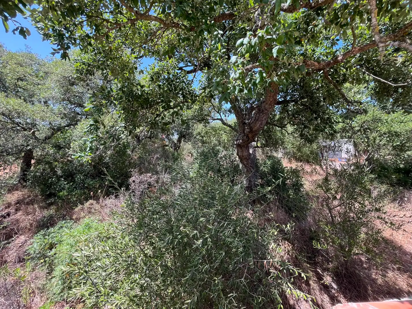 Villa zum Verkauf in Vereda de la Mañana, imagen 12