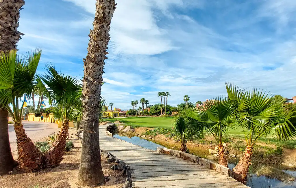 Detached house with pool for sale in Desert Spring Golf, imagen 31
