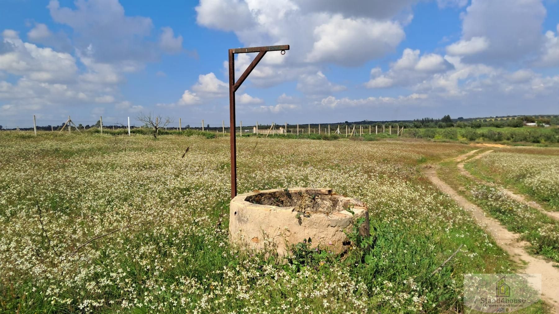 Finca rústica en venda en Bollullos Par del Condado