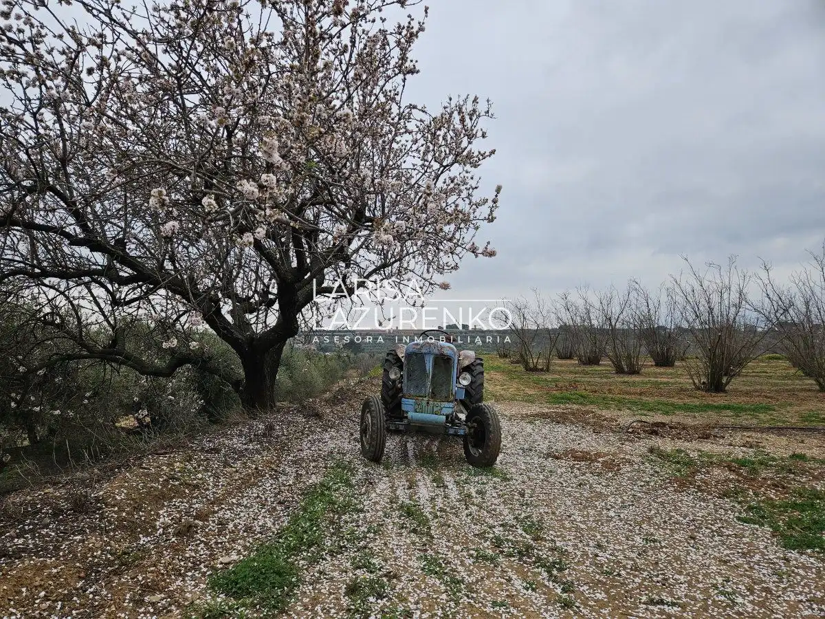 Finca rústica en venda en Riudoms