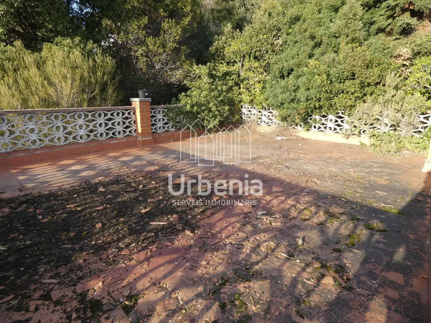Terrain rustique à vendre à Can Massuet del Far, imagen 5