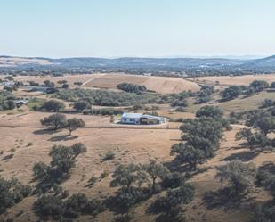 Land for sale in Villanueva del Fresno
