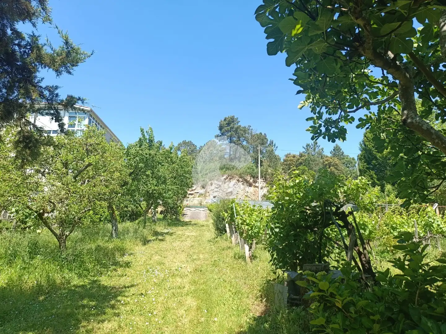 House with garden for sale in Barbadás, imagen 10