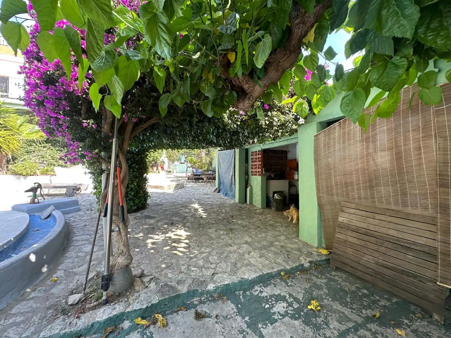 Villa con terrazza in vendita a Las Palmeras, imagen 40