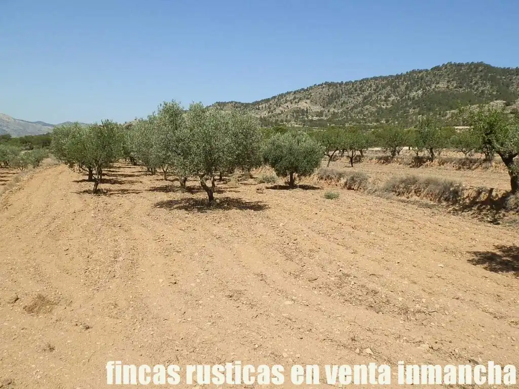 Terreny rústic en venda a Jijona / Xixona, imagen 11