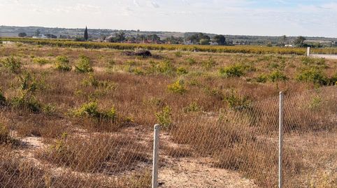 Foto 2 de Residencial en venta en Valverde, Elche / Elx
