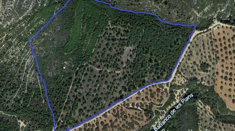 Photo 3 of Residential for sale in Partida Planjove, Canet lo Roig, Castellón