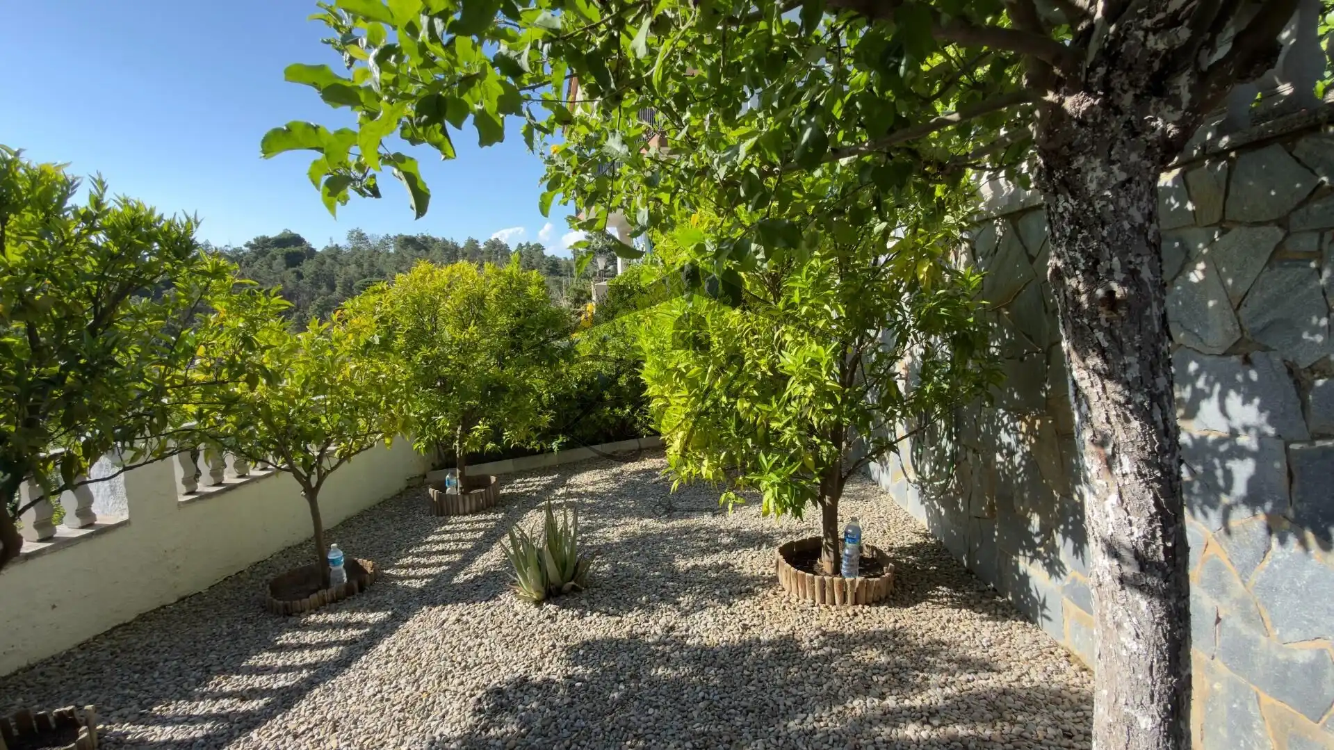 Jardí de Casa o xalet en venda en Maçanet de la Selva